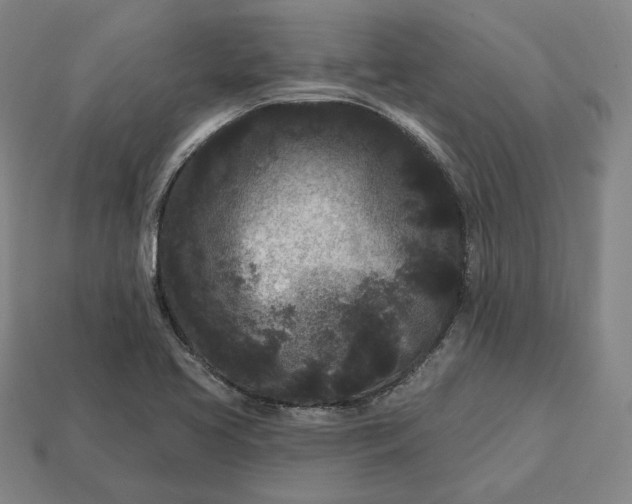 X0000113161413200909181802