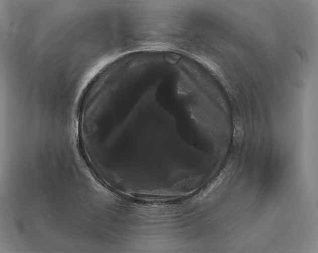 X0000113161414200909181802