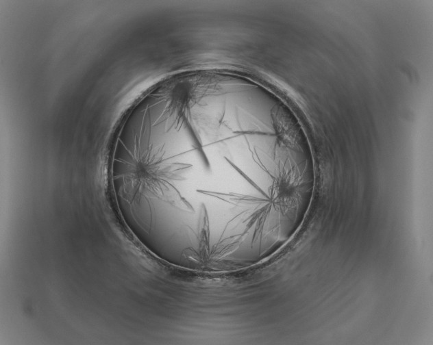 X0000113161415200909181802