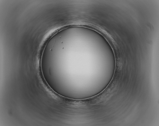 X0000113161416200909181802