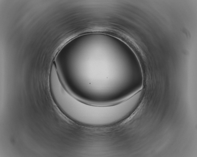 X0000113161417200909181802