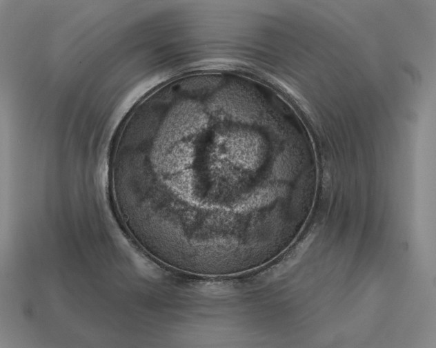 X0000113161418200909181802