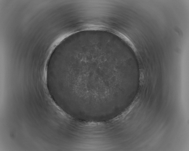 X0000113161419200909181802