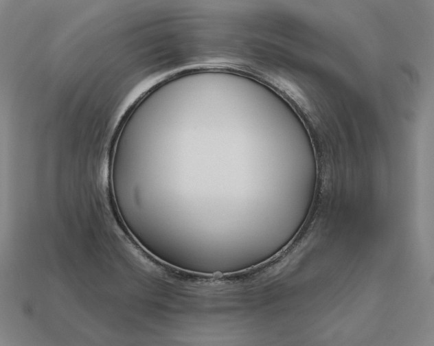 X0000113161420200909181802