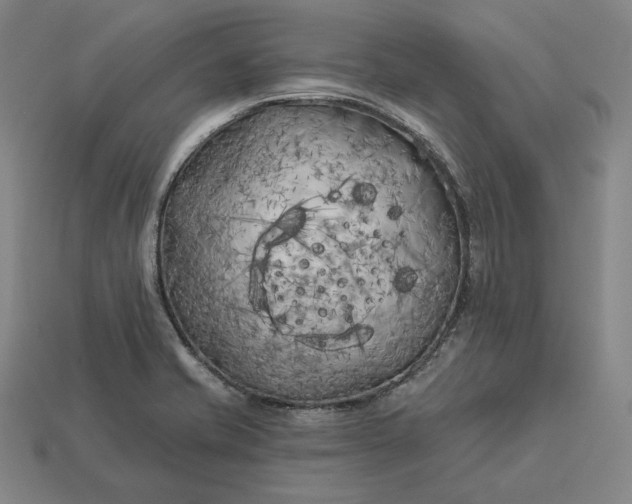 X0000113161421200909181802