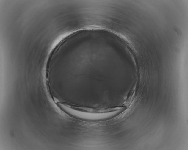 X0000113161422200909181802