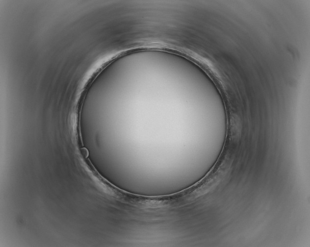 X0000113161424200909181802