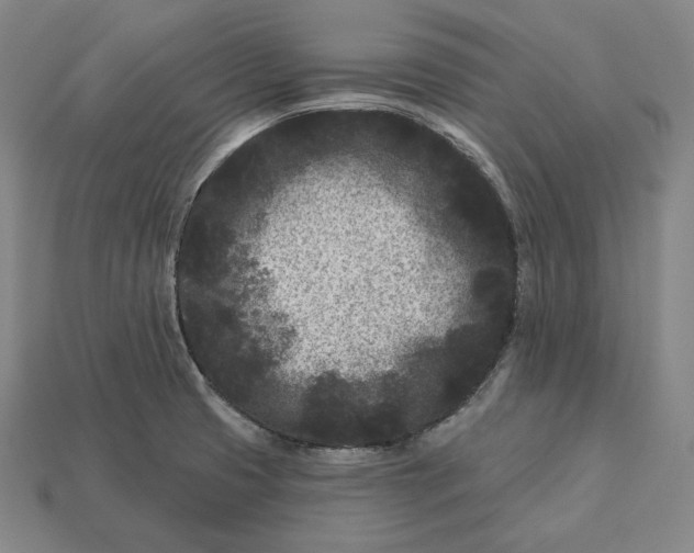 X0000113161425200909181802