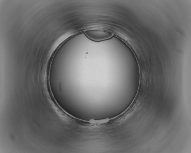 X0000113161426200909181802