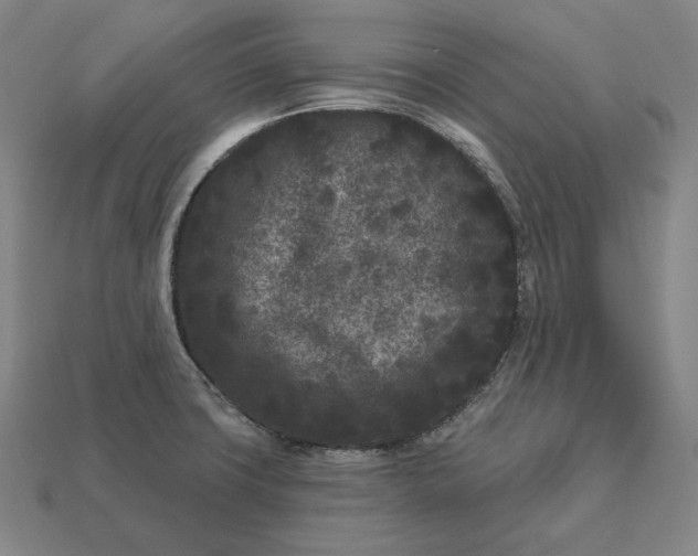 X0000113161427200909181802