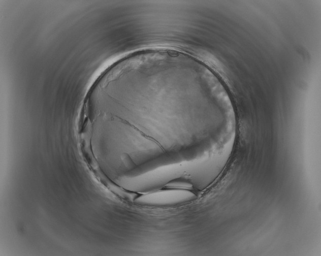 X0000113161428200909181802