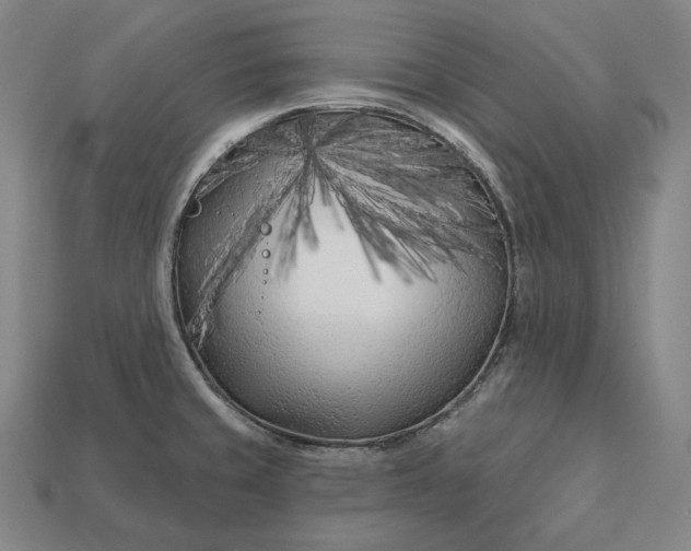 X0000113161429200909181802