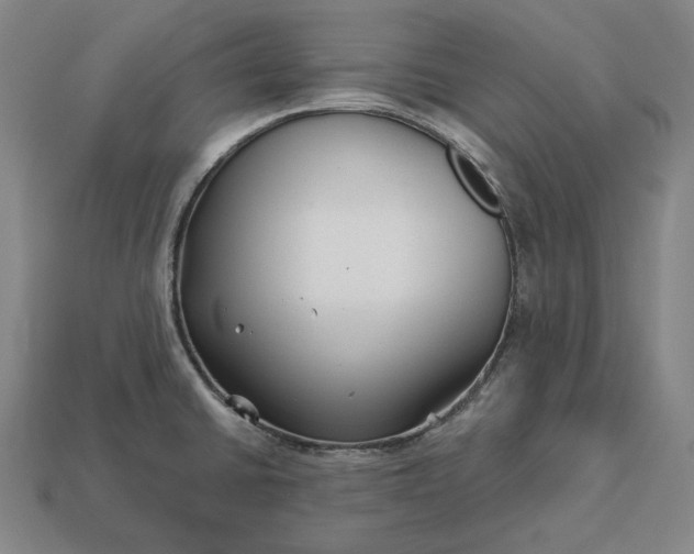 X0000113161430200909181802