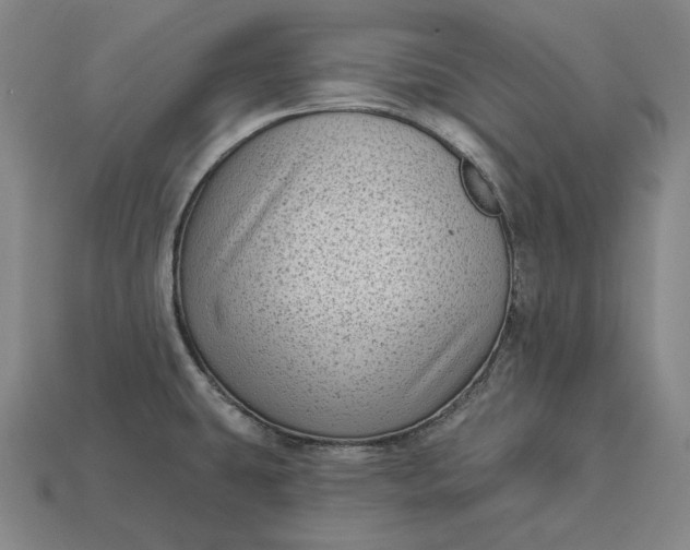 X0000113161431200909181802