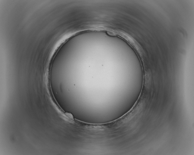 X0000113161432200909181802