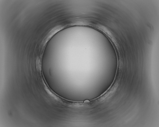 X0000113161433200909181802