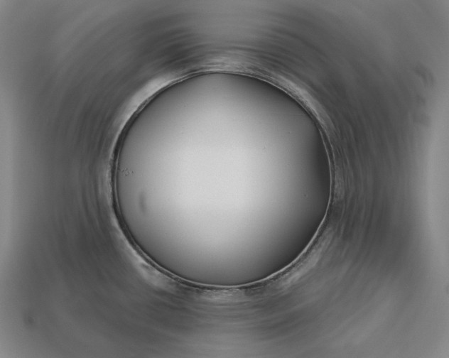 X0000113161434200909181802