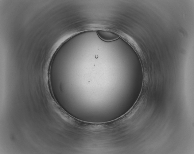 X0000113161435200909181802