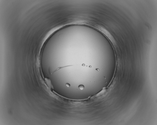 X0000113161436200909181802