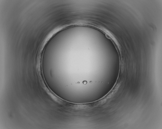 X0000113161437200909181802