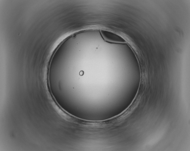 X0000113161438200909181802