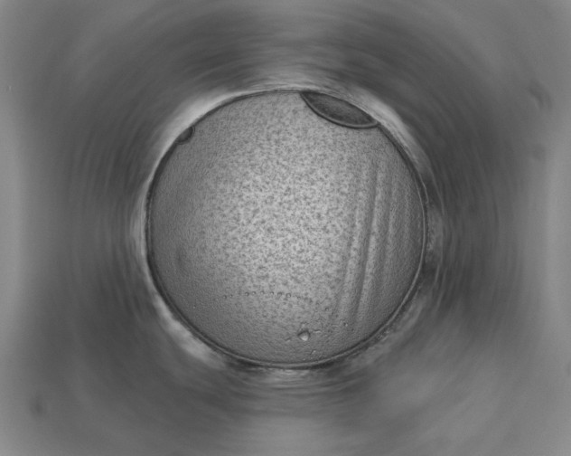 X0000113161439200909181802