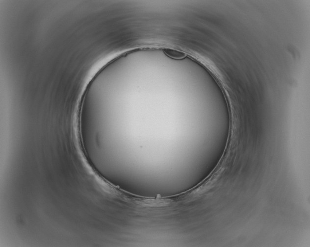 X0000113161440200909181802