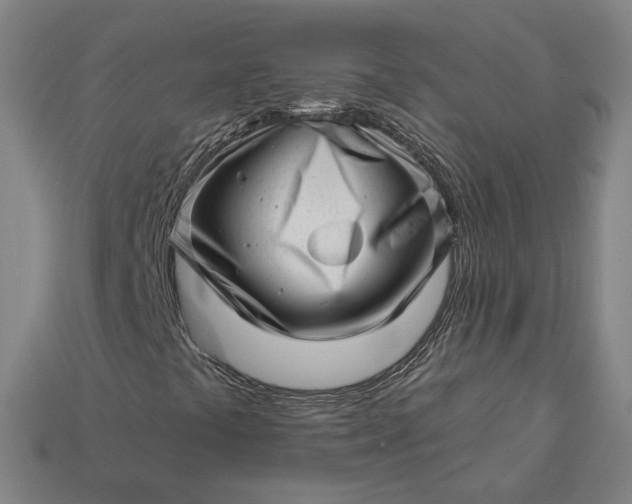 X0000113161441200909181801