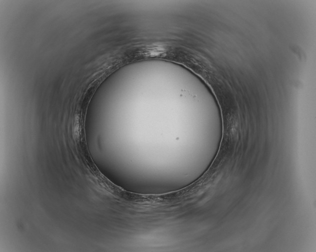 X0000113161442200909181801