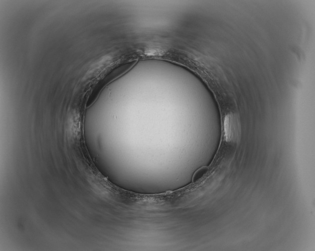 X0000113161443200909181801