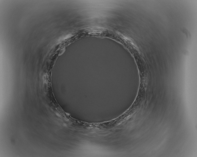 X0000113161445200909181801