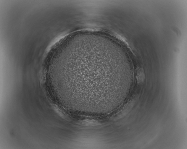 X0000113161448200909181801