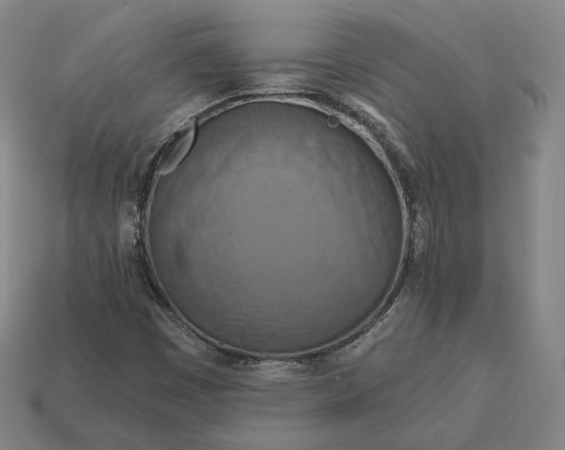 X0000113161449200909181801