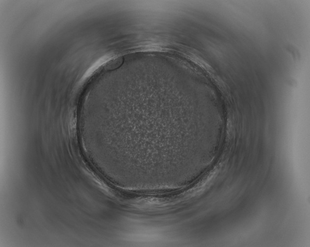 X0000113161450200909181801