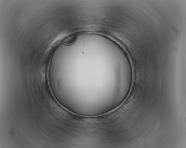 X0000113161451200909181801