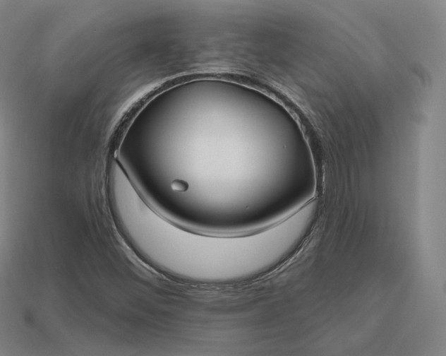 X0000113161452200909181801