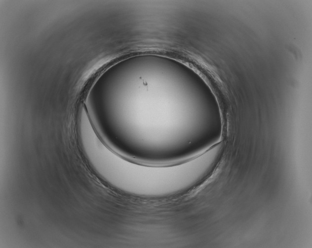 X0000113161453200909181801