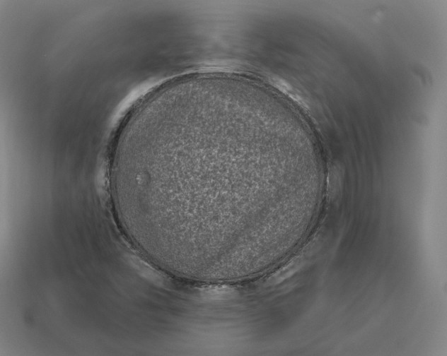 X0000113161454200909181801