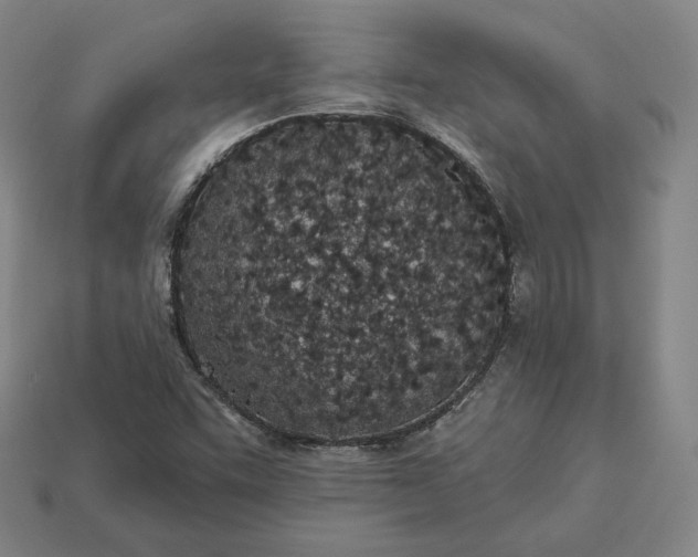 X0000113161455200909181801