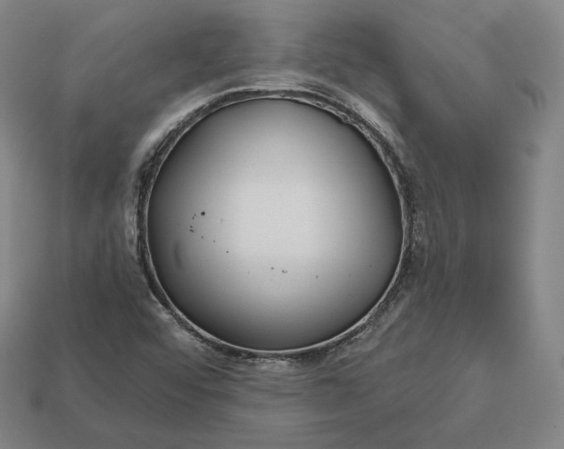 X0000113161456200909181801