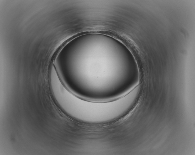 X0000113161457200909181801