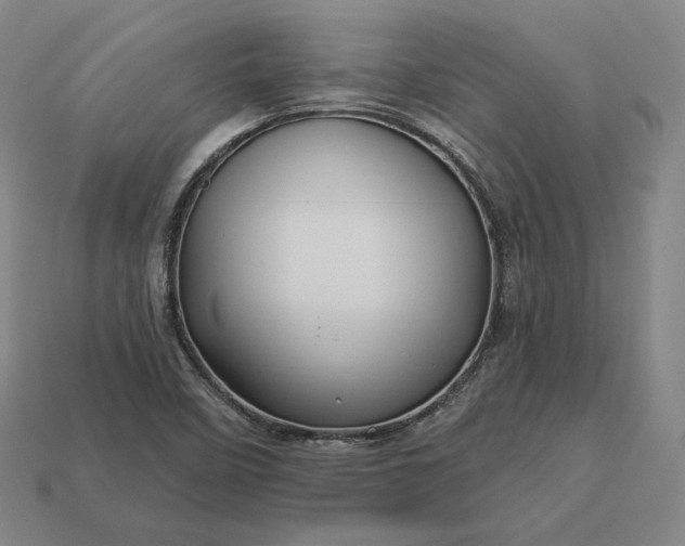 X0000113161458200909181801