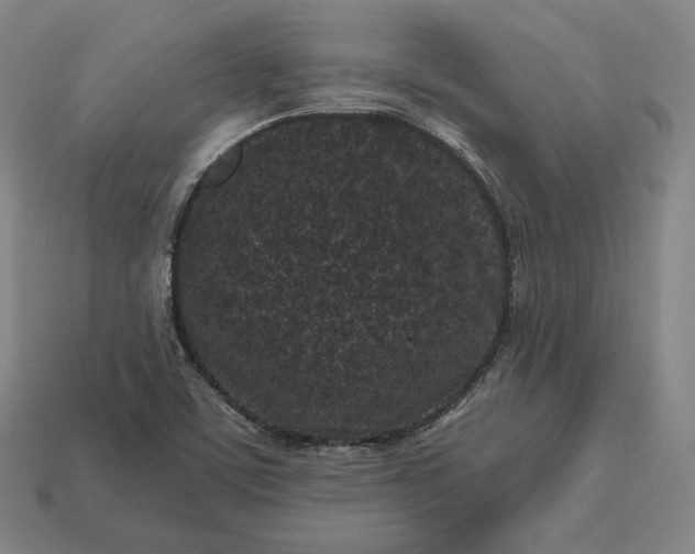 X0000113161459200909181801