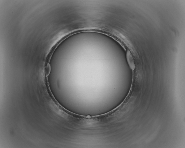 X0000113161460200909181801