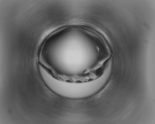 X0000113161461200909181801