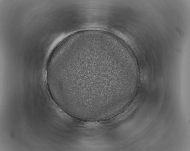 X0000113161462200909181801