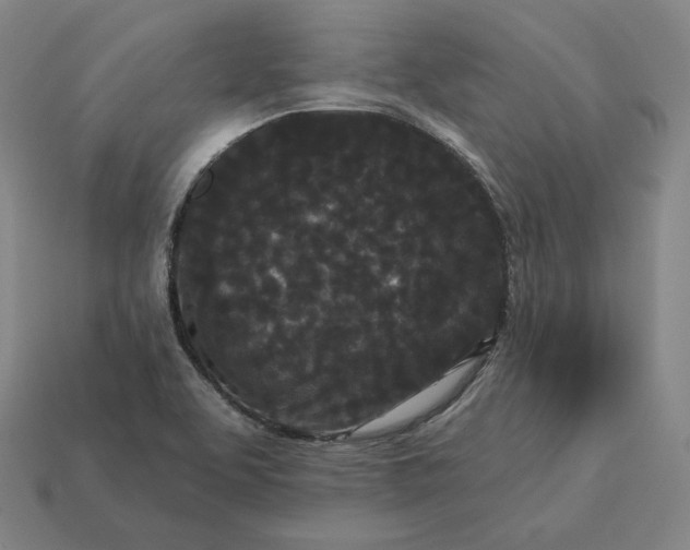 X0000113161463200909181801