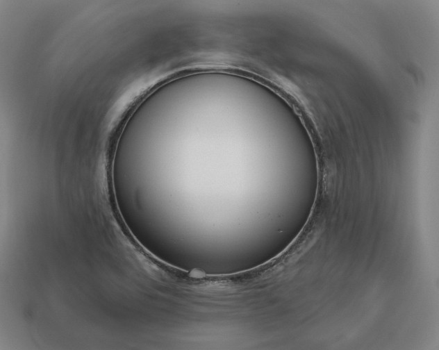 X0000113161464200909181801