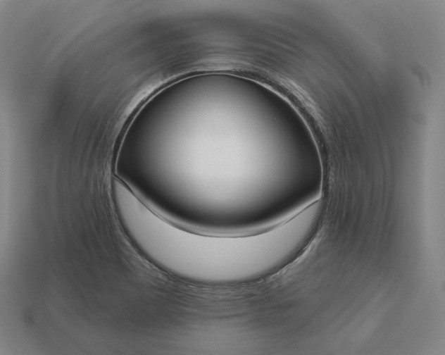 X0000113161465200909181801