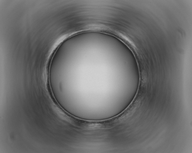 X0000113161467200909181801